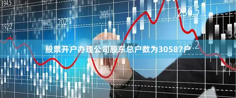 股票开户办理公司股东总户数为30587户